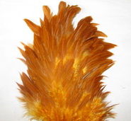 Hebert wet hen saddle orange / sunburst  Whiting
